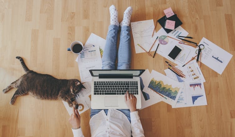 Person sitting on floor at home with laptop, paperwork and cat.