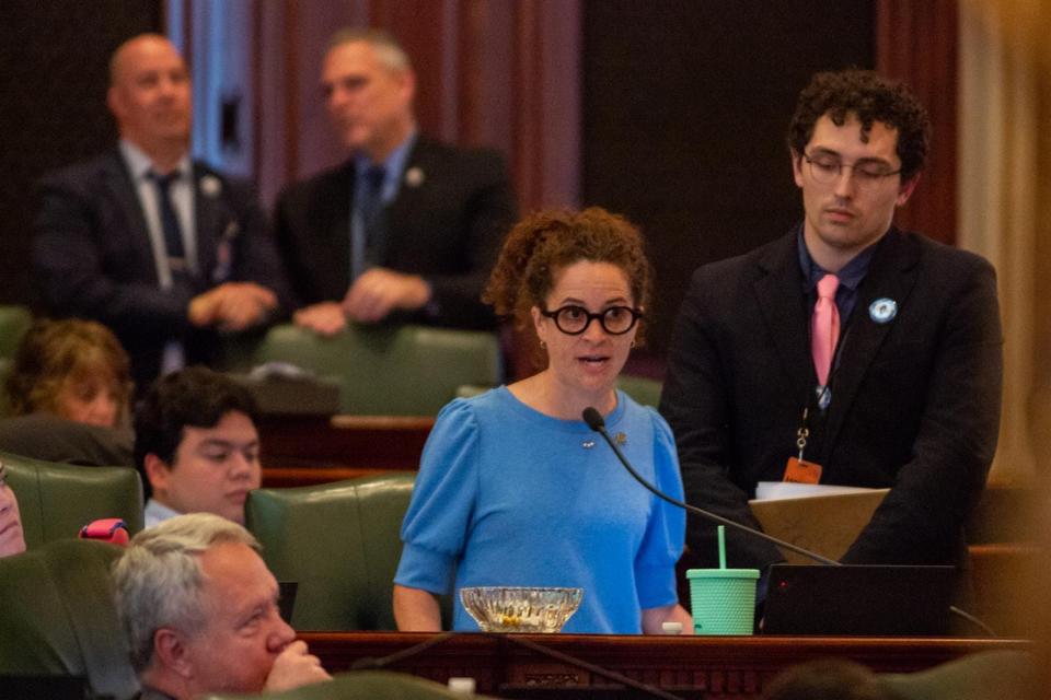 Rep. Mary Beth Canty, D-Arlington Heights, is pictured during House floor debate. She was the lead sponsor of a bill signed by Gov. JB Pritzker Friday to create a grant program for grocers.