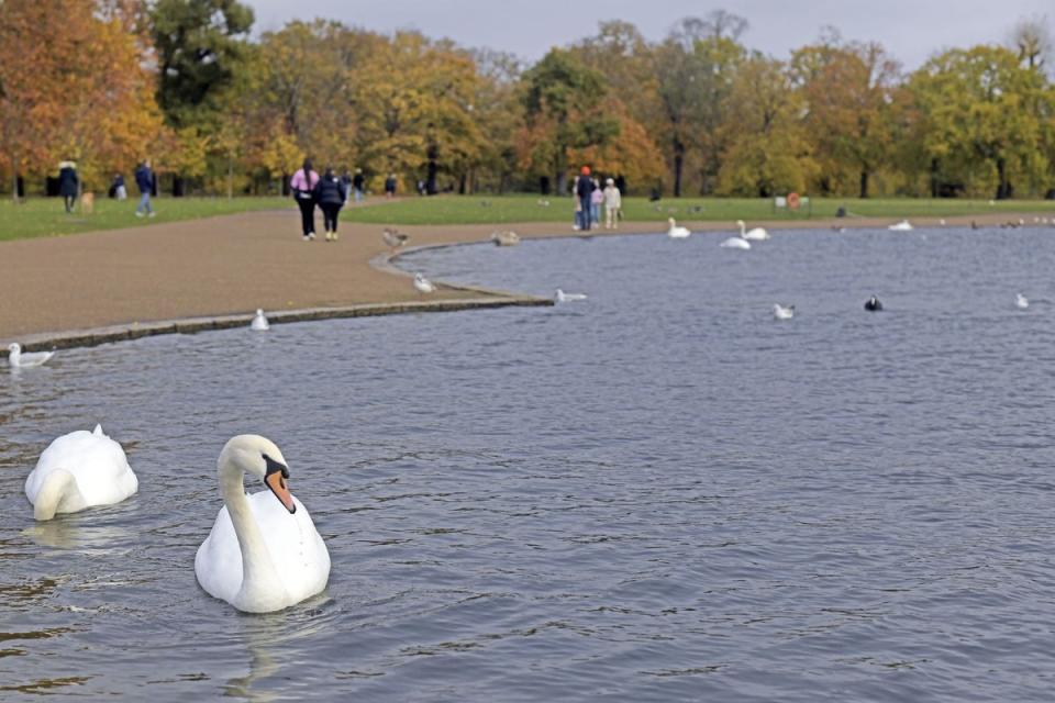 The Round Pond in Hyde Park is nostalgic for Aindrea (Daniel Lynch)