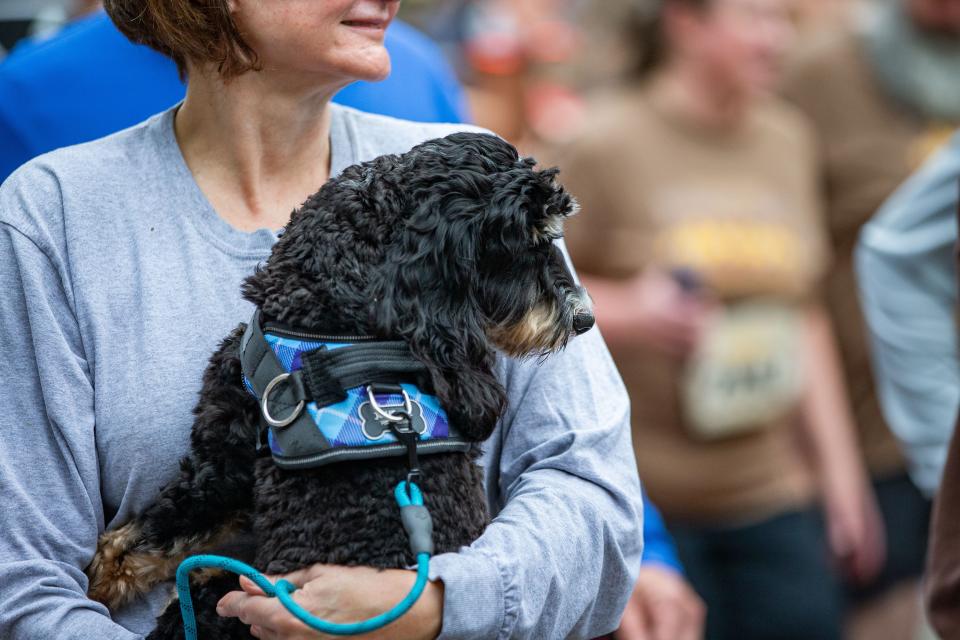 Families, friends and dogs trotted their way to the finish line during the Tallahassee Turkey Trot on Thanksgiving morning Thursday, Nov. 24, 2022.