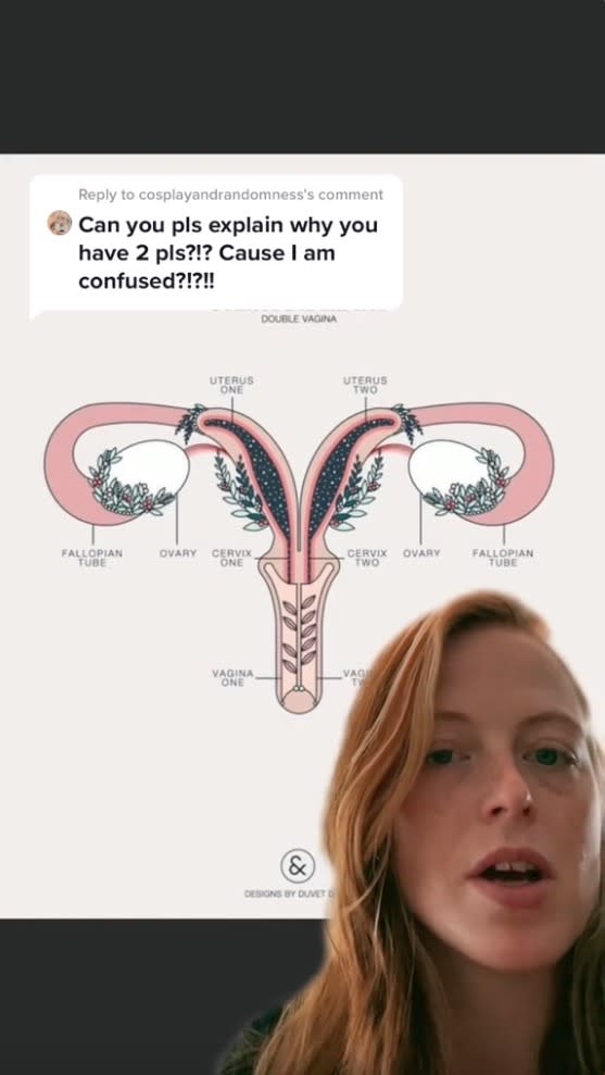 Brittany Jacobs tiktok on two vaginas