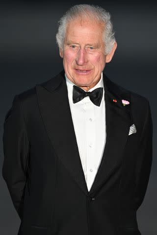 <p>Samir Hussein/WireImage</p> King Charles III attends a state banquet at the Palace of Versailles, hosted by President and Madame Macron, on September 20, 2023