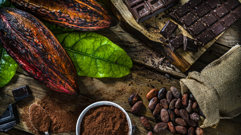 cacao beans, cocoa powder, and chocolate on wooden table