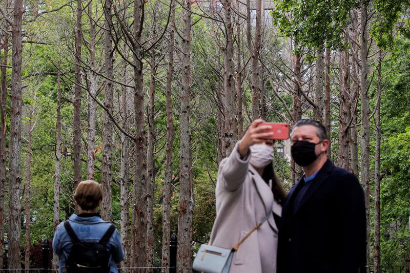 People photograph "Ghost Forest" an art installation designed by artist Maya Lin in Madison Square Park in New York