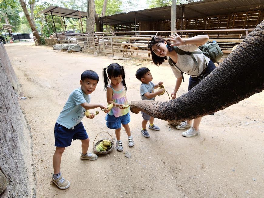 泰國｜曼谷＋Pattaya度假＋北碧府動物園