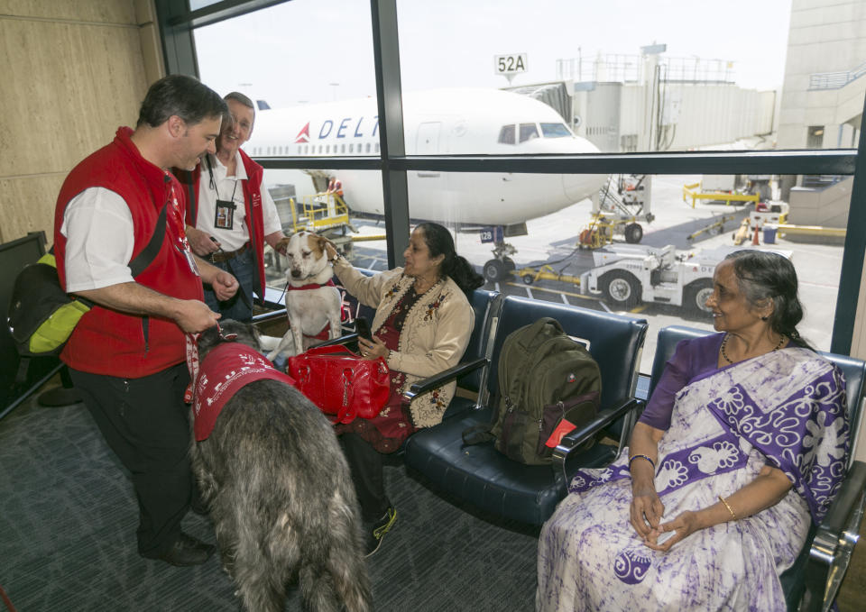 In this photo taken Tuesday, May 21, 2013, Travelers bound to India are greeted by volunteers with Pets Unstressing Passengers (PUPs) Brian Valente and his dog Finn, far left, and Lou Friedman and Hazel, second from left, as they walk around the Los Angeles International Airport terminal. The Los Angeles International Airport has 30 therapy dogs and is hoping to expand its program. The dogs are intended to take the stress out of travel: the crowds, long lines and terrorism concerns. (AP Photo/Damian Dovarganes)