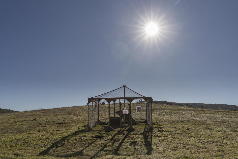 This photo provided by the San Diego Zoo Wildlife Alliance shows an acclimation aviary built to protect translocated western burrowing owls at the Rancho Jamul Ecological Reserve in San Diego County in 2020. (Ken Bohn/San Diego Zoo Wildlife Alliance via AP)