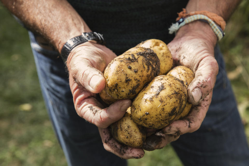 A potato shortage means product limits are back for Aussie shoppers. Source: Getty, file.