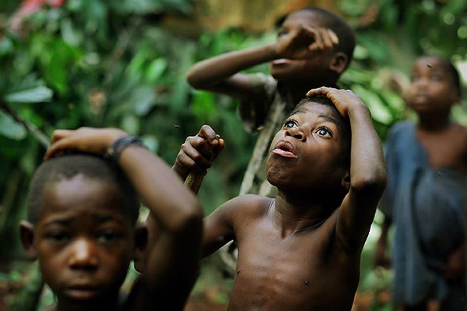 In an unnamed village in the Congo Basin, Central African Republic, three Bayaka children watch as a man collects honey from high up a jungle tree. <br><br>Timothy Allen, UK <br><br>Special Mention, Cultures & Traditions