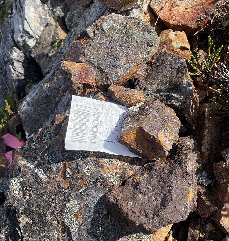 Rock Sample K654501 of mineralized skarn horizon grading 14.1 g/t Au and 4,260 ppm Cu.