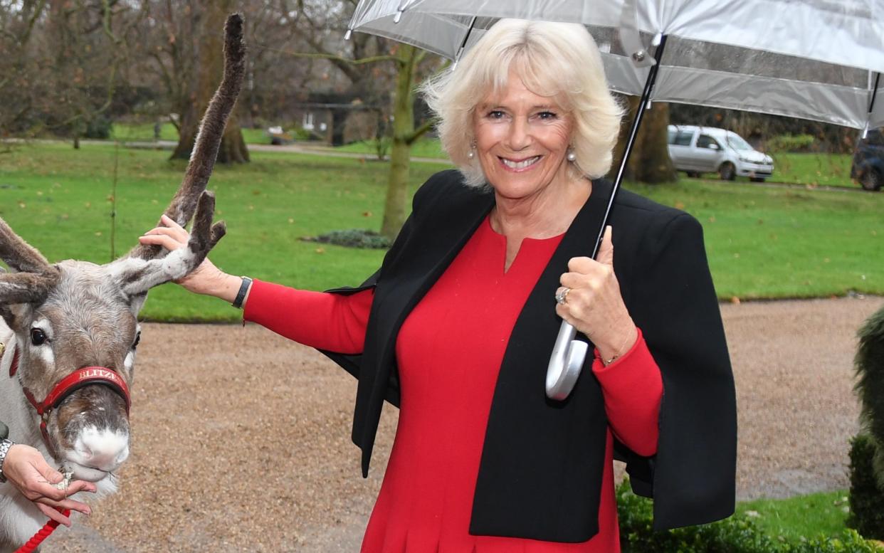 Camilla, Duchess of Cornwall hosts her annual children's christmas party at Clarence House on Dec 12 2019