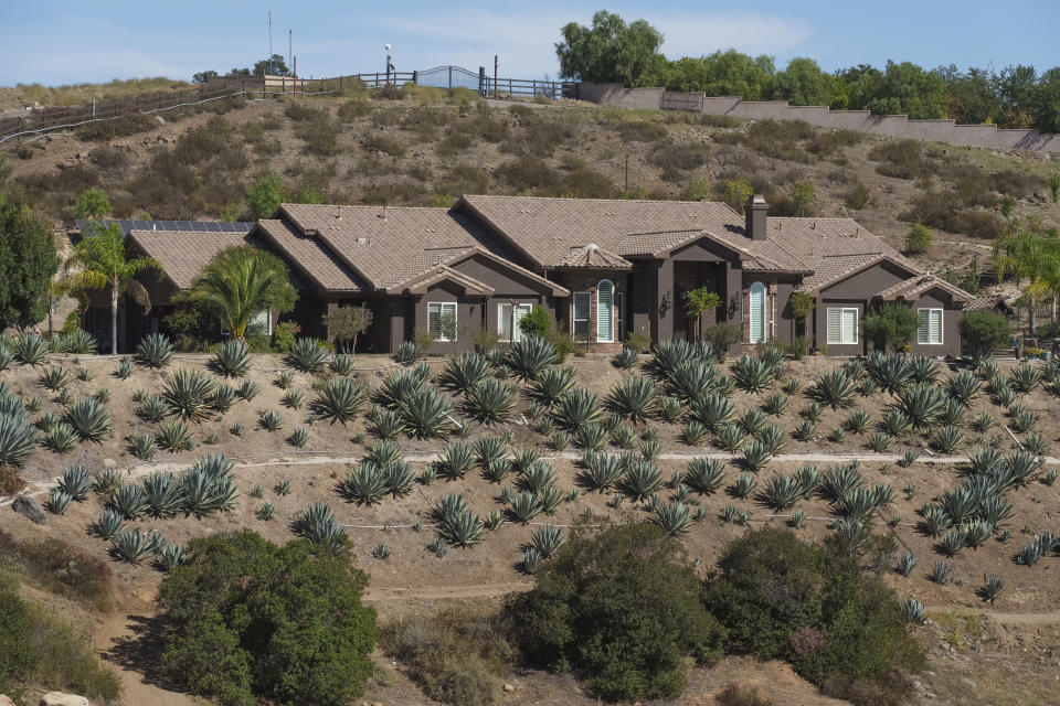 Leo Ortega's home is surrounded by Agave Americana plants in Murrieta, Calif., Tuesday, Oct. 17, 2023. Ortega started growing blue agave plants on the hillsides of his Southern California home because his wife liked the way they looked. Today, his property is littered with what some say could be a promising new crop for water-challenged California. (AP Photo/Damian Dovarganes)