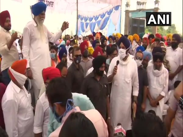 SAD leader Bikram Singh Majithia at a protest in Amritsar. (Photo/ANI)