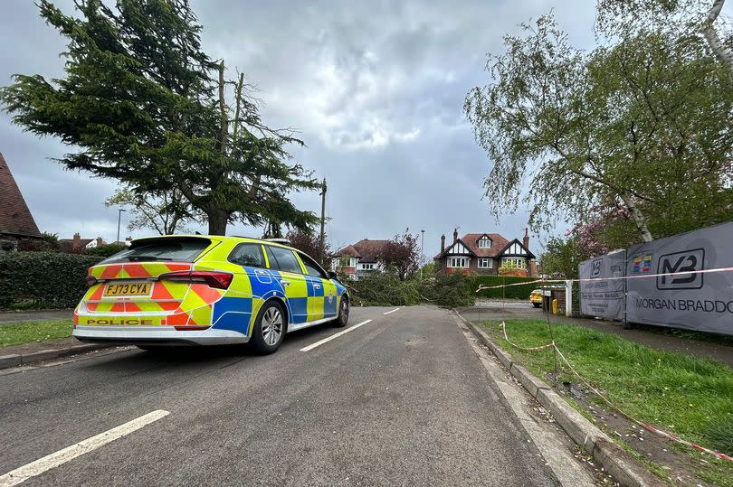 Police at the scene of a collapsed tree in West Bridgford, with a crashed tree seen at the end of a road and a police car seen parked in front of it