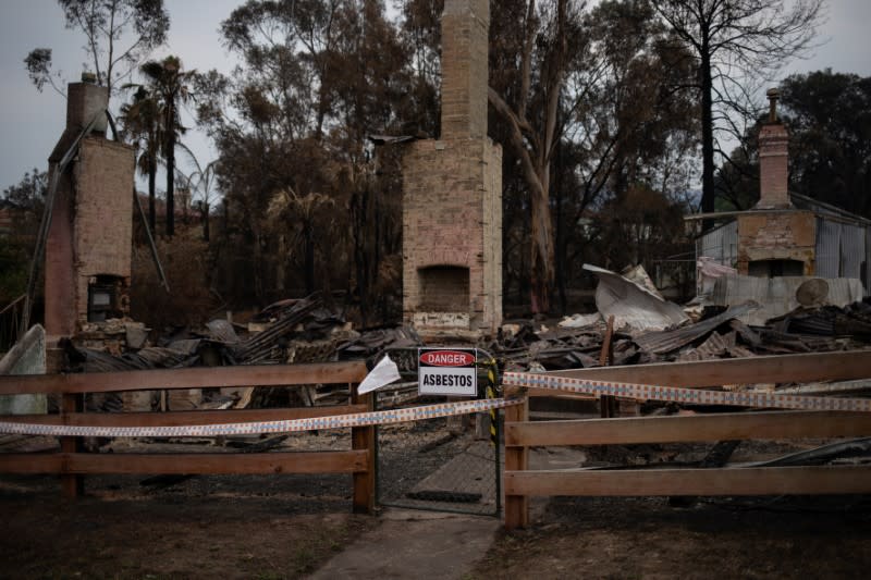 The Wider Image: From Australian bushfire ashes, a community rises in solidarity