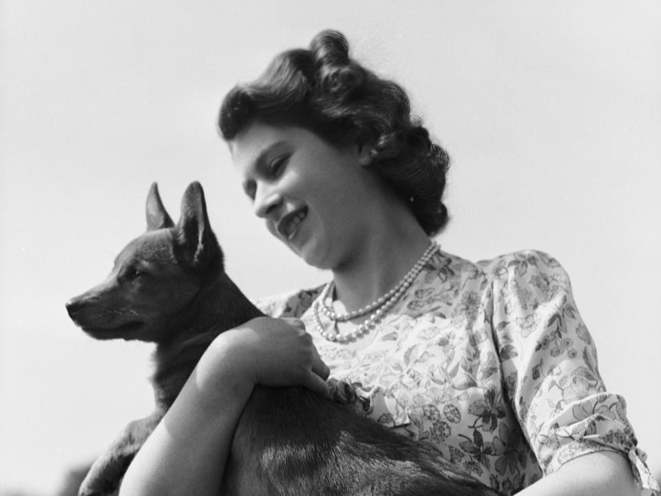 Queen Elizabeth holds a corgi