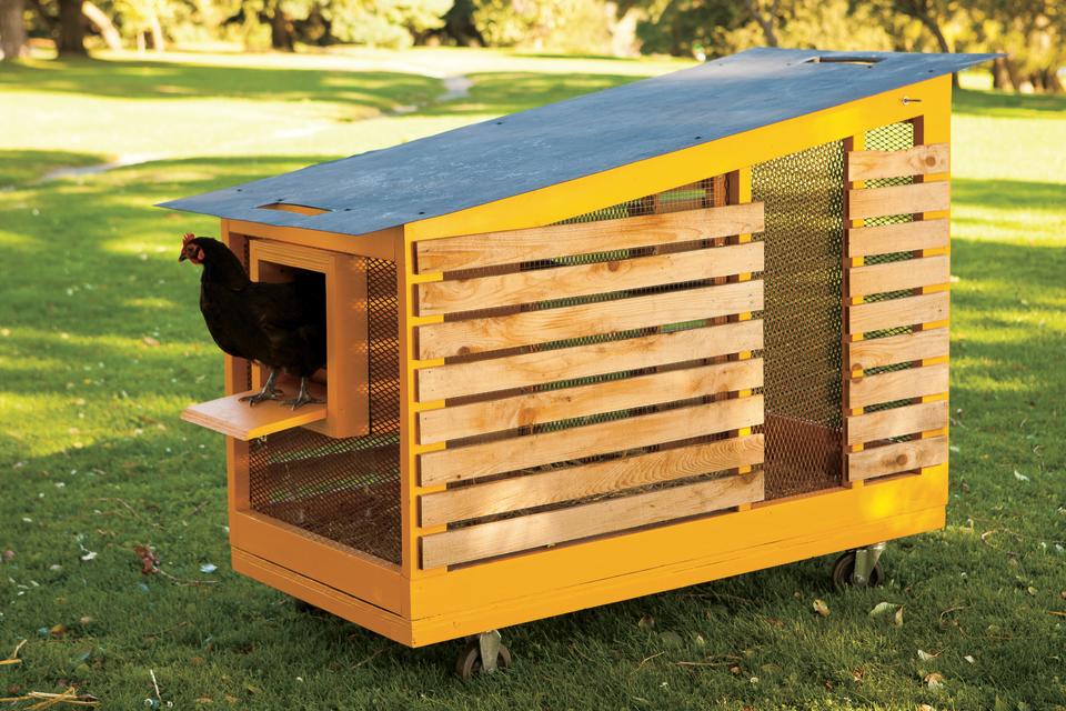 Check out these must-see designs for raising backyard chickens in style