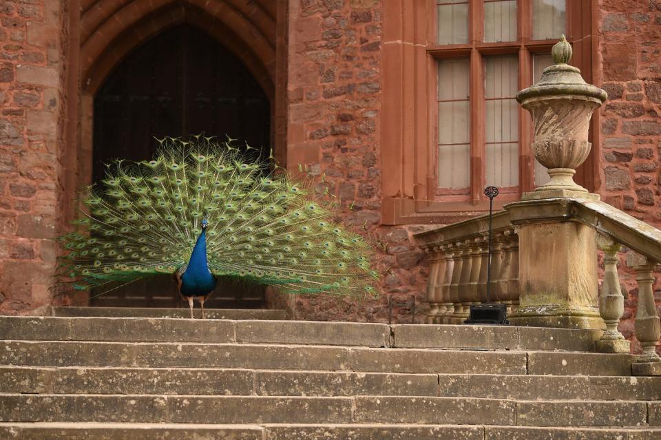 Photo credit: John Millar/The National Trust 