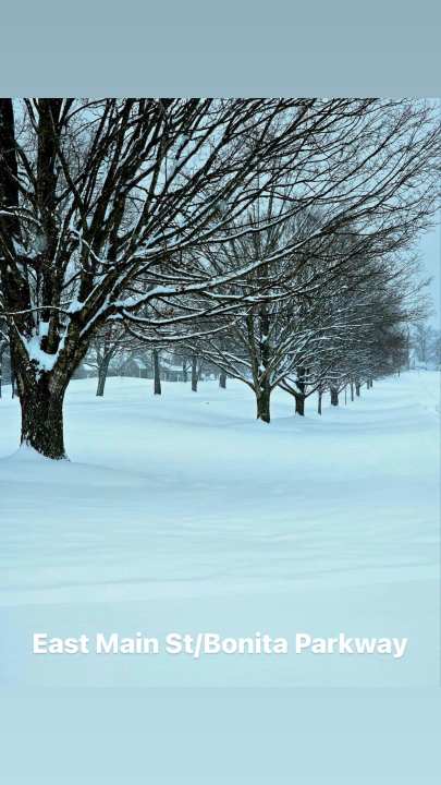 Snow in Hendersonville (Courtesy: Hendersonville Police Department)