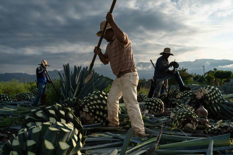 <p>Jose de Jesus Churion / Getty Images</p>