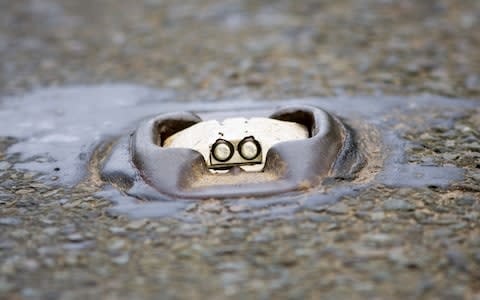 A cat's eye on the B4077 in the Cotswolds, Gloucestershire - Credit:  Tim Graham/The Image Bank