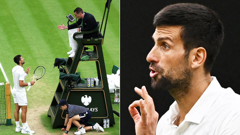 Pictured here, Novak Djokovic argues with the chair umpire after a controversial hindrance call in the Wimbledon semi-final. 