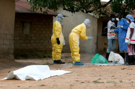 Guinea was among three West African countries that bore the brunt of an Ebola epidemic in 2013-15. Containing the outbreak entailed sending specialised workers to remove bodies from houses, following by rigorous disinfection procedures