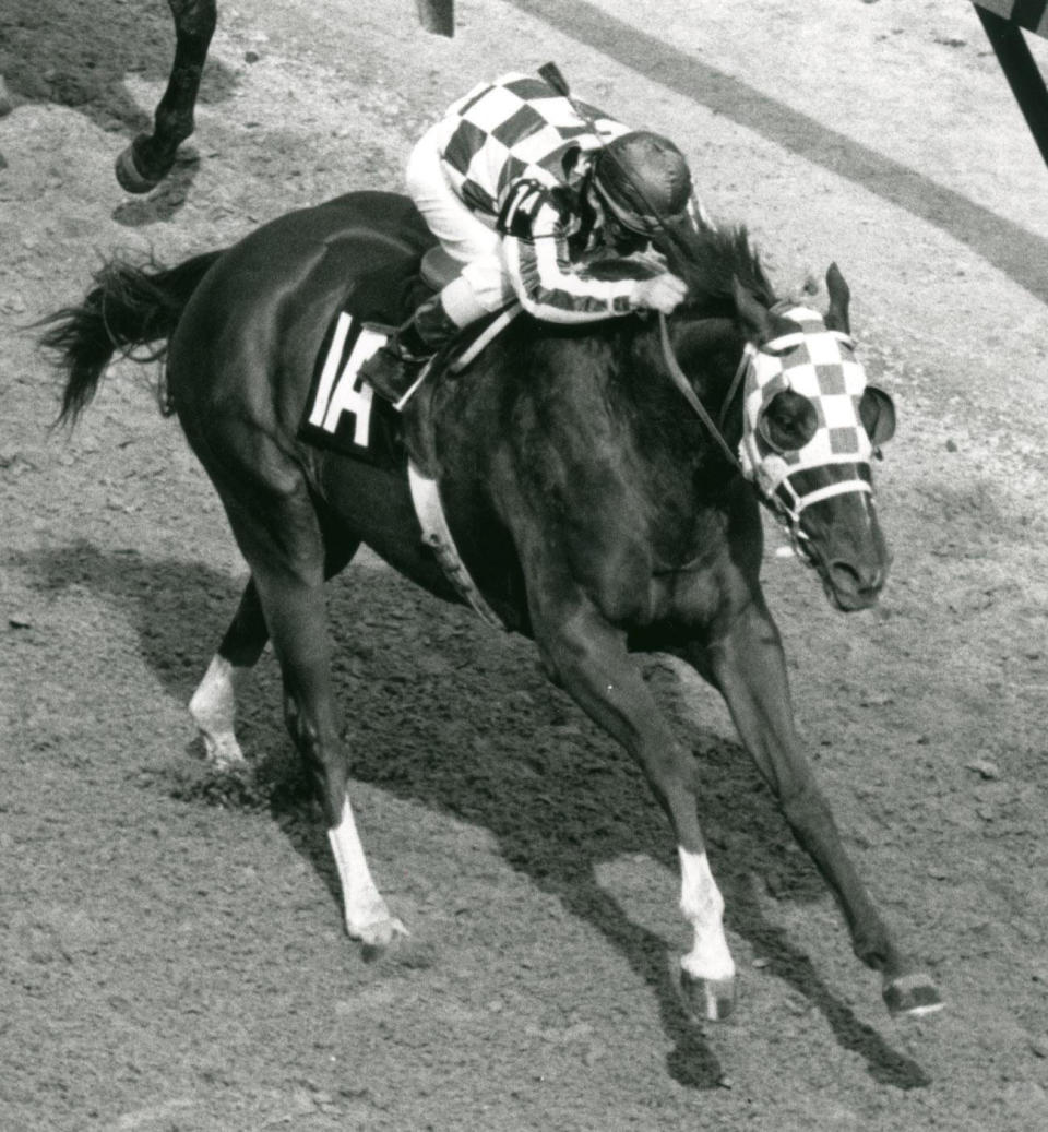 A black and white photo of Secretariat racing