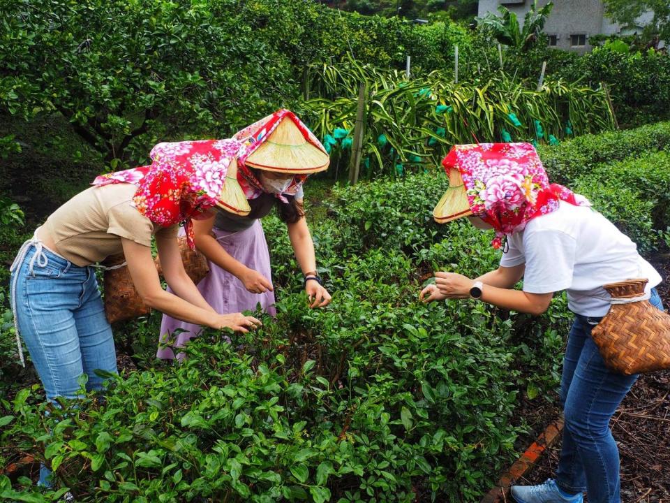 農委會將釋出7萬張農遊券，4月6日再次舉辦抽籤。   圖：擷取自水土保持局臉書