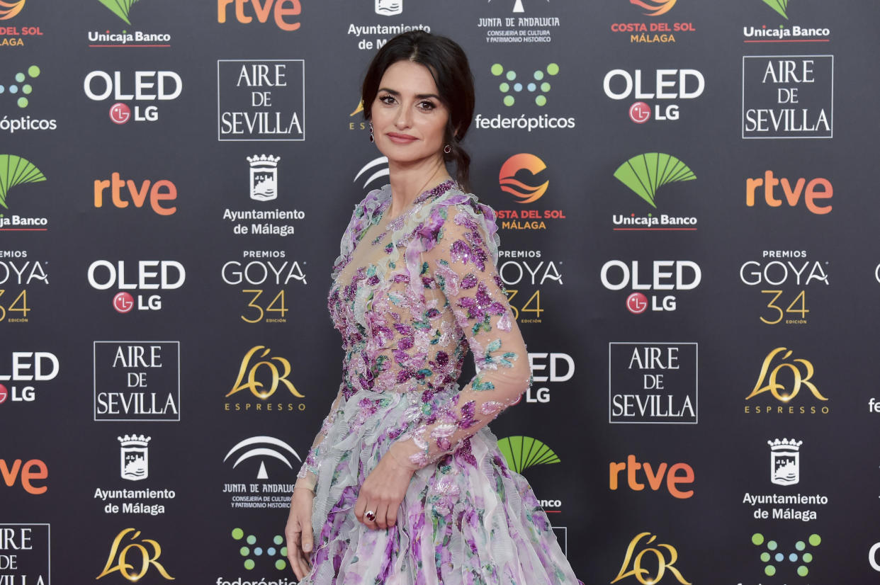 MALAGA, SPAIN - JANUARY 25: Penélope Cruz attends the Goya Cinema Awards 2020 during the 34th edition of the Goya Cinema Awards at Jose Maria Martin Carpena Sports palace on January 25, 2020 in Malaga, Spain. (Photo by Juan Naharro Gimenez/WireImage)