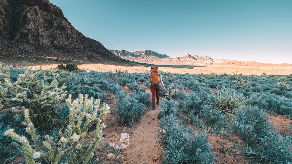 A female backpacker hikes across the desert terrain between Juniper Canyon and the Loop Road in Red Rocks State Park, Nevada