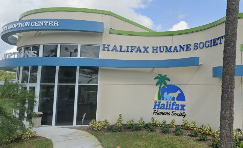 The Halifax Humane Society is temporarily ceasing multiple services after dogs with upper respiratory infections were brought into the shelter in Daytona Beach, an official said Thursday, June 22.