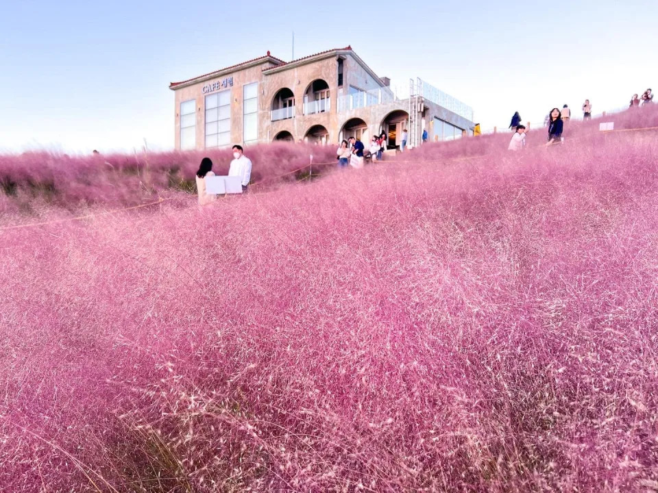 &#x0097d3;&#x00570b;&#x007f8e;&#x0062cd;&#x005cf6;&#x005f88;Chill &#x008292;&#x0082b1;&#x0096ea;&#x003001;&#x007c89;&#x007d05;&#x004e82;&#x005b50;&#x008349;&#x003001;&#x006a58;&#x005b50;&#x005712;&#x005496;&#x005561;&#x009928;&#x00ff01;&#x0076f4;&#x0064ca;&#x00300a;&#x006211;&#x005011;&#x007684;&#x0085cd;&#x008abf;&#x006642;&#x005149;&#x00300b;100&#x00500b;&#x006708;&#x004eae;&#x007948;&#x009858;&#x0079d8;&#x005883;