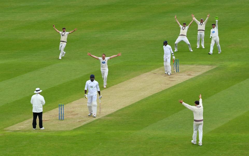 Hampshire dug in but Somerset eventually got over the line - GETTY IMAGES