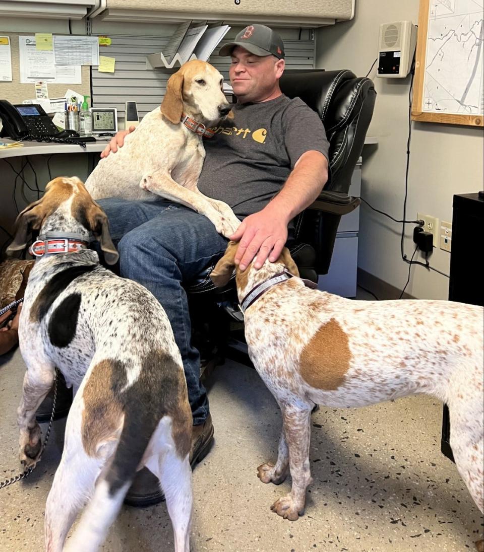 Ogunquit Public Works Director Tom Turno made some fast friends after he and fellow town officials and citizens helped find several hunting dogs who had fled the scene of an accident on The Maine Turnpike on Wednesday, Sept. 14, 2022.
