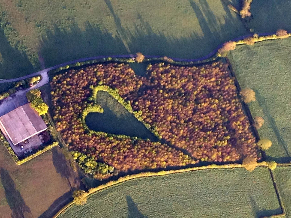 Heart field