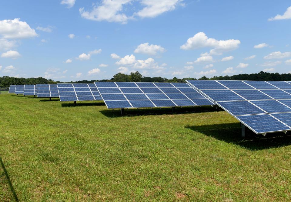 A solar panel farm at Perdue Corporate Headquarters Wednesday, Aug. 9, 2023, in Salisbury, Maryland. The farm contributes less than a tenth of the county's utility-scale solar generation.
