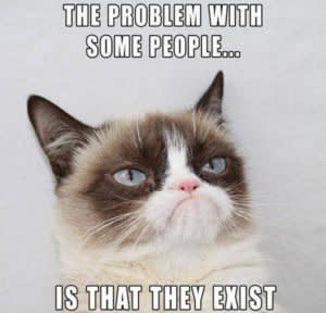 Grumpy Cat Memes