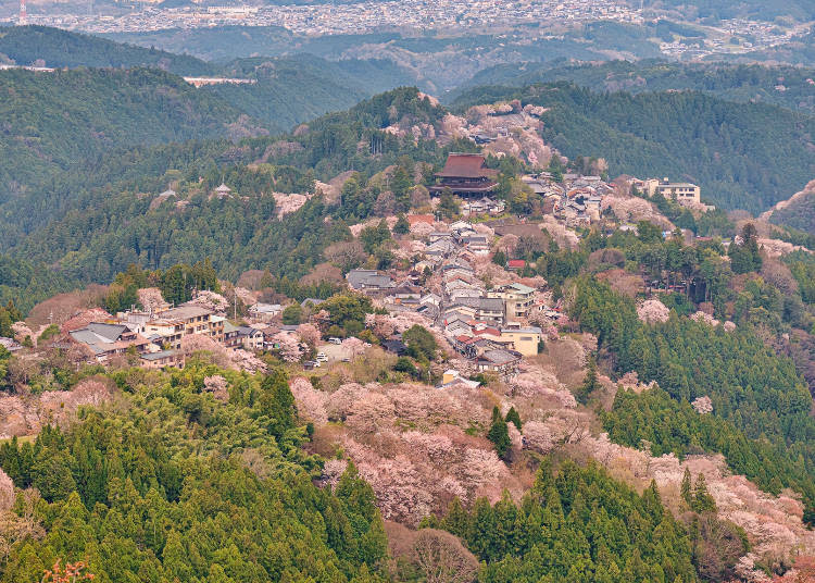 Overlooking Kinpusenji Temple, the main temple of the Shugendo religion, which is registered as a UNESCO World Heritage Site