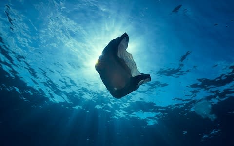 In some areas there are one million pieces of plastic for every km of ocean - Credit: Blue Planet II