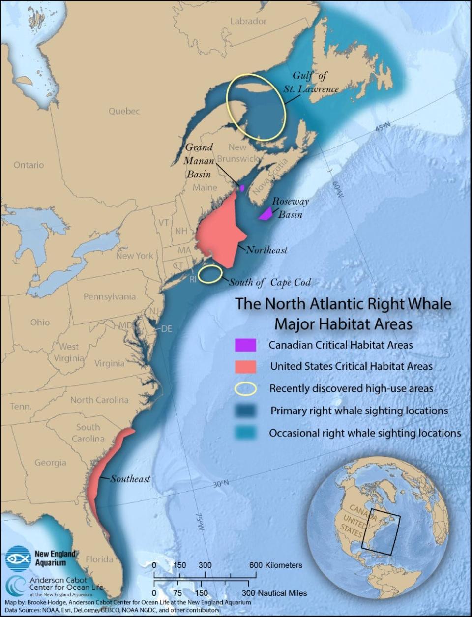 A map of the major habitat areas of the North Atlantic right whale.