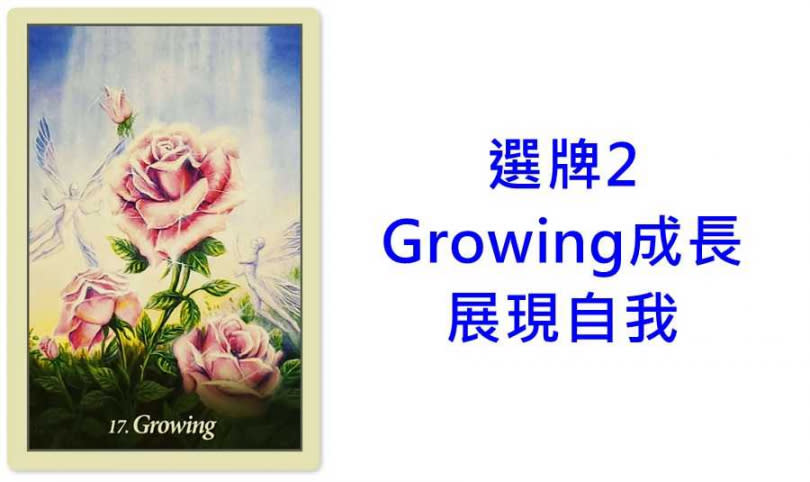 本次塔羅牌使用《天使神諭卡Oracle of the Angels: Healing Messages from the Angelic Realm Cards》澳洲藍天使Blue Angel Publishing出版。