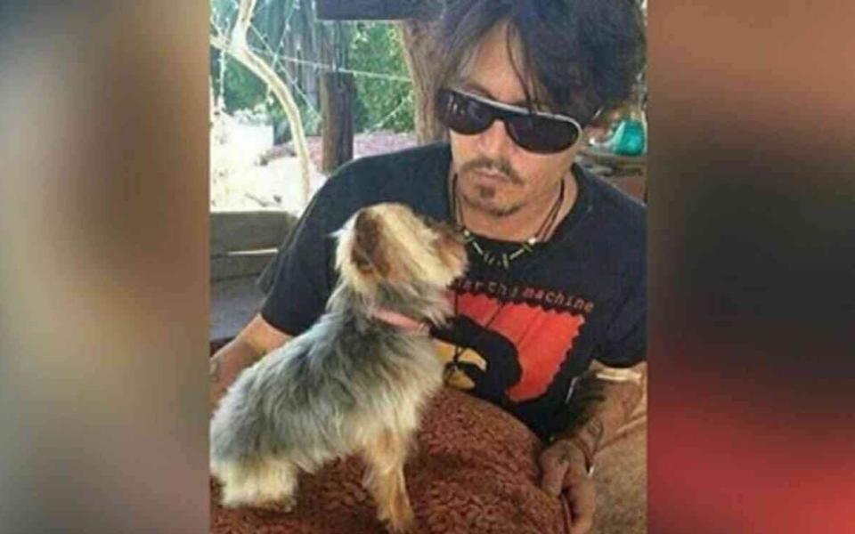 Depp with one of his Yorkshire Terriers