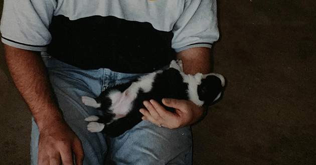 Blaze was adopted into the Tunney family when he was just five weeks old.