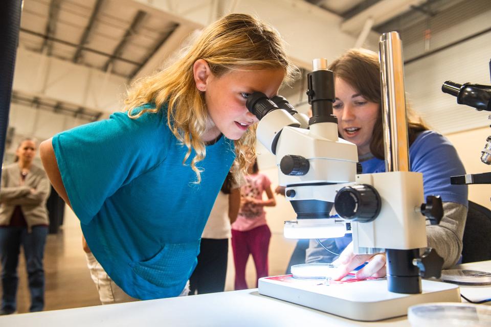Fourth grader Zoey Havekost examines a slide of fungus under a microscope at Expedition Colorado, a natural resource and agriculture education event, at The Ranch Events Complex in Loveland on Wednesday.