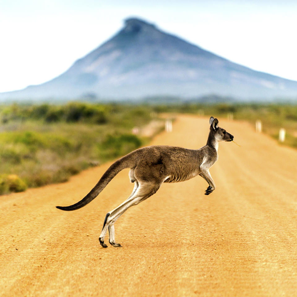 L'Australie, 7ème destination favorite des Français pour 2021