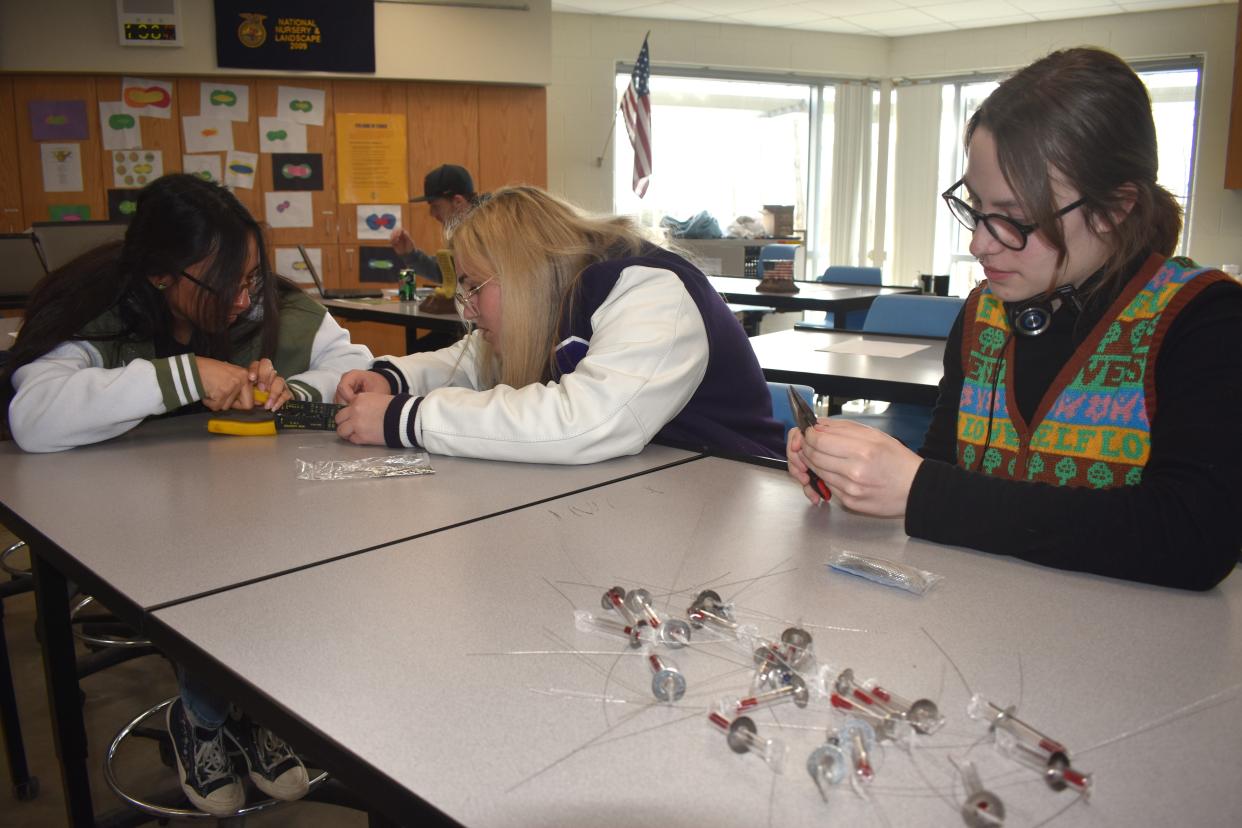 From left, Elliana Gutierrez, a senior at Madison High School and a student in the Horticulture program at the Lenawee Intermediate School District (LISD) Tech Center; Lillian Helinski, a junior at Onsted High School and a student in the Horticulture program at the LISD Tech Center; and Sophie Getson, a homeschooled student also enrolled in the Horticulture program at the LISD Tech Center work with stainless steel wires Thursday, March 21, 2024, while creating reusable Water Pasteurization Indicators, known by the acronym WAPI.