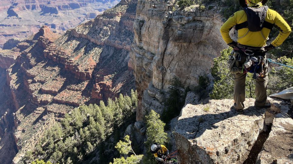Emergency Services Coordinator James Thompson observes and directs operations during a search and rescue training exercise at the Grand Canyon. - Grand Canyon National Park