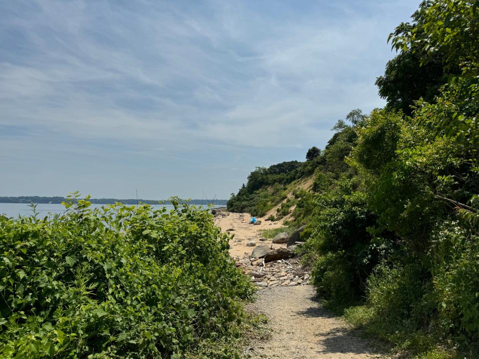 beach path at sands point