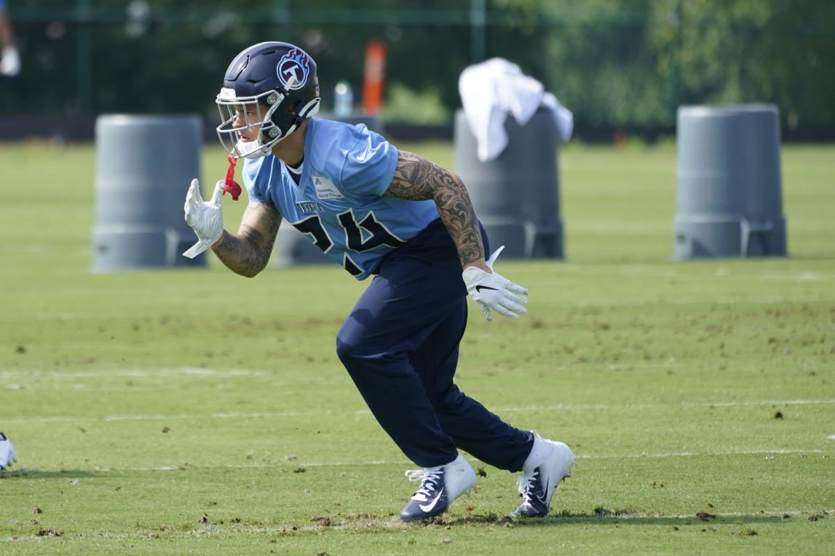 Titans' Elijah Molden exits practice with apparent injury